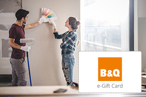 B&Q e-Gift Card